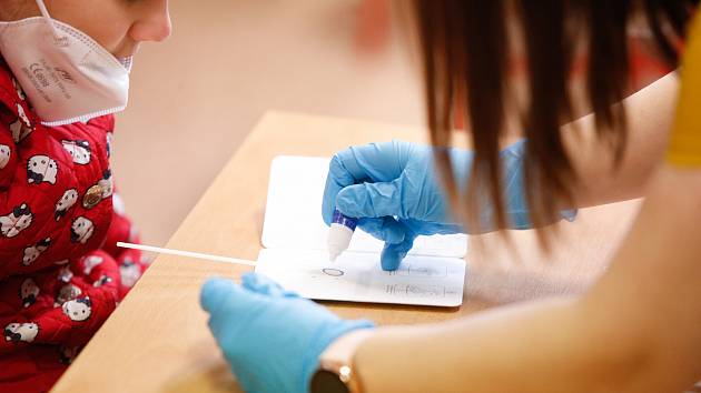 Testování PCR testy